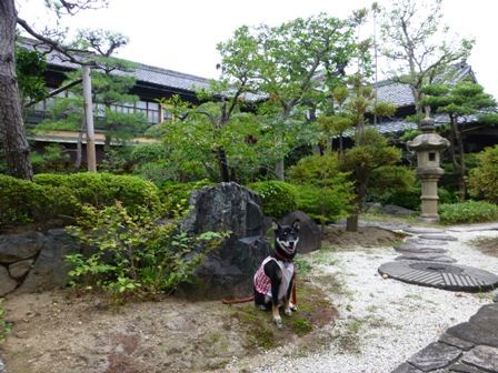 大正館16