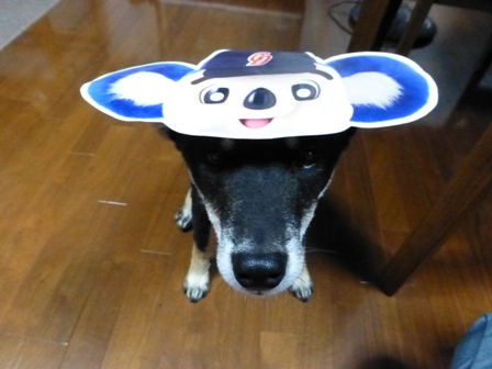 柴漬け土産12