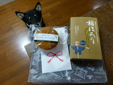 柴漬け土産16