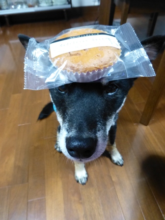 柴漬け土産17