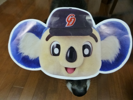 柴漬け土産13