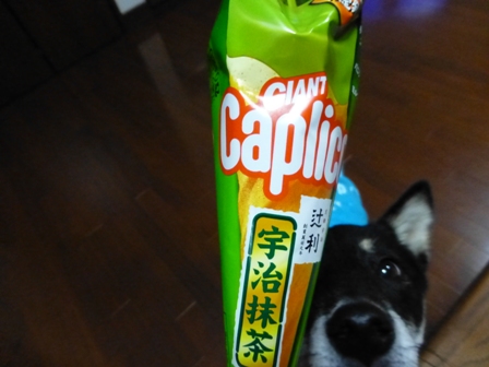 柴漬け土産19
