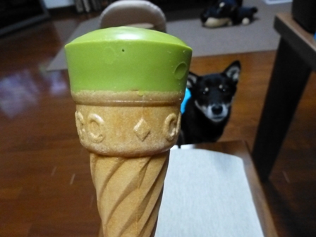 柴漬け土産20