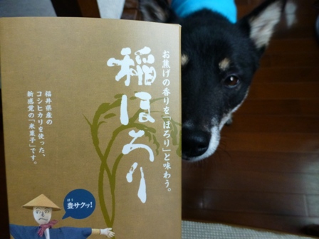 柴漬け土産21