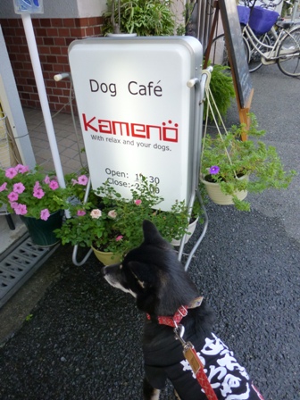 カフェkameno3
