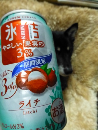 鍋とうふ4