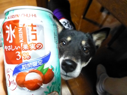 鍋とうふ7