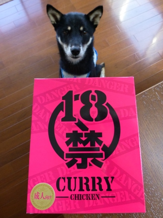 18禁カレー1