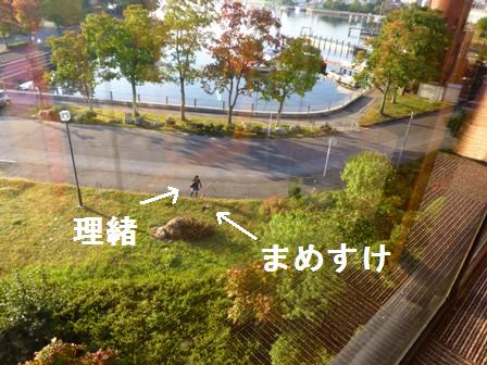 きくのや朝2