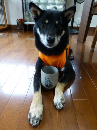 きくのや朝17
