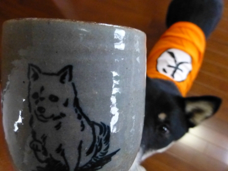 きくのや朝19