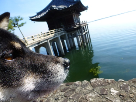 浮御堂3