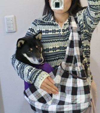 らくらくだっこ15