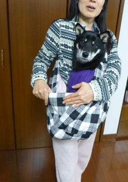 らくらくだっこ18