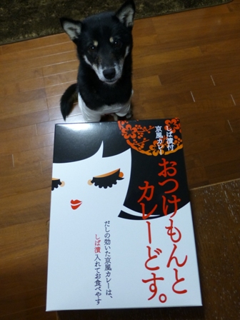 しば漬付京風カレー1