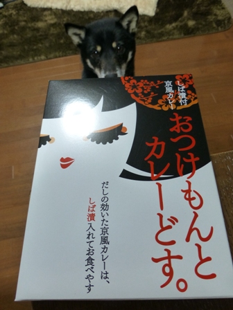 しば漬付京風カレー2