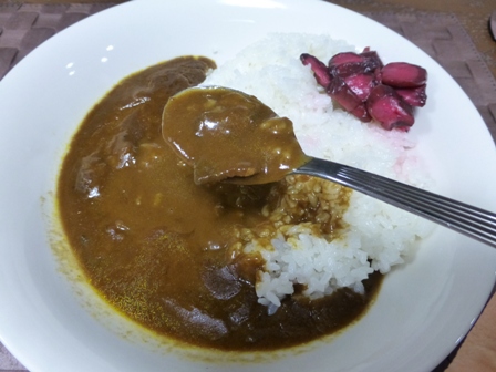 しば漬付京風カレー12