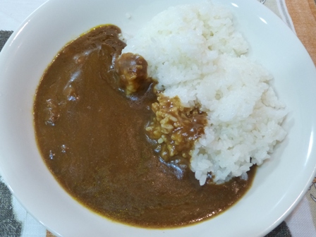 しば漬付京風カレー7