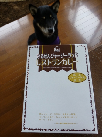 ひるぜんレストランカレー1