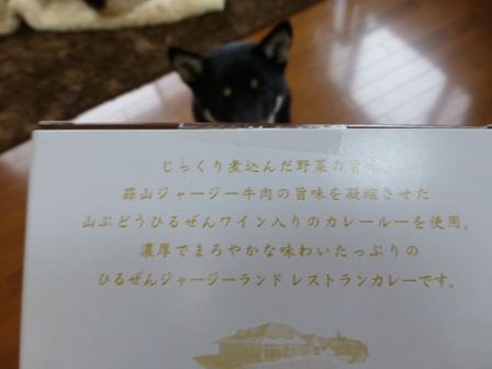 ひるぜんレストランカレー2