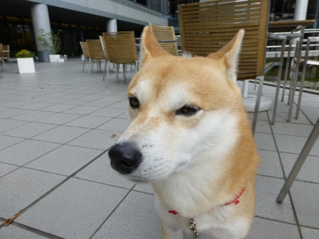 ハイアット30