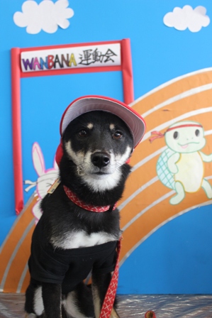 ワンバナ写真1