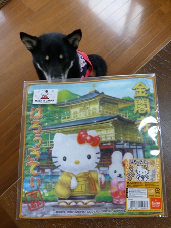 チロママ金閣寺お土産3