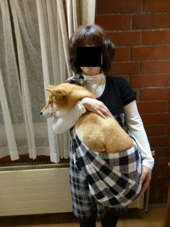 赤煉瓦到着16