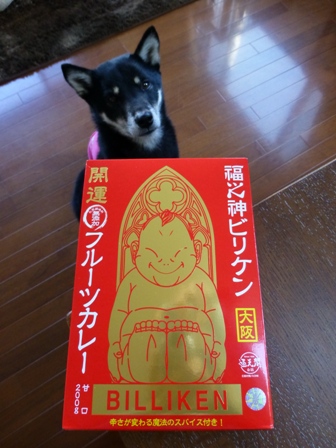 ビリケンカレー1