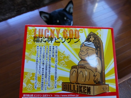 ビリケンカレー2