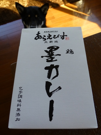 墨カレー2