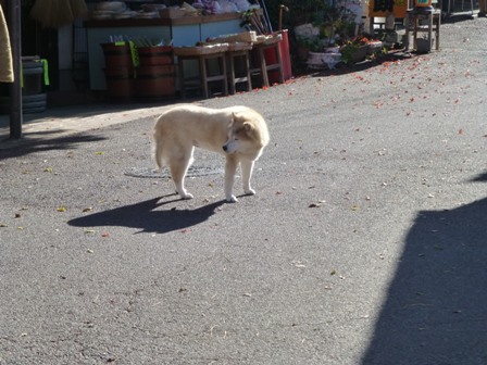 恵那峡6