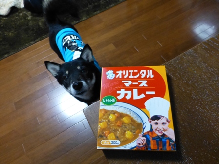 マースカレー1
