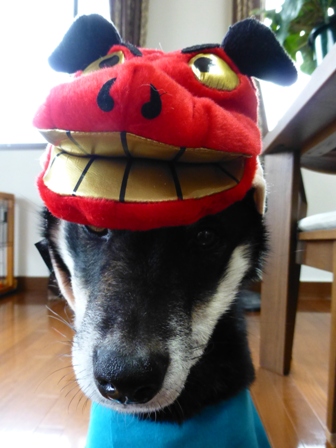 新年5