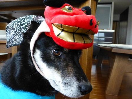 新年6