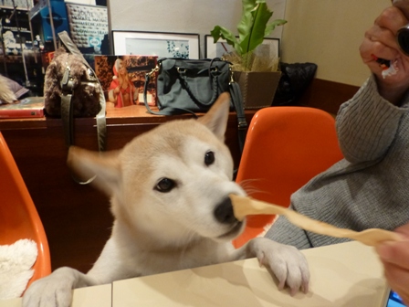 プレイズナイス24