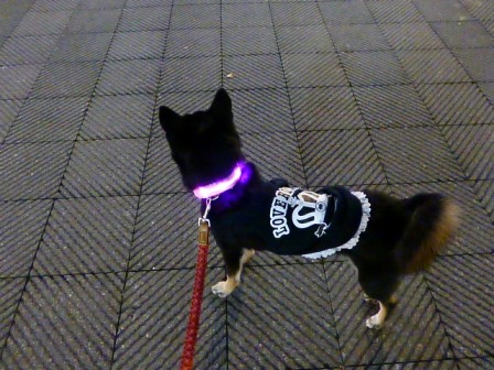 OSAKA光のルネサンス10