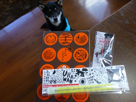 うらわん土産5