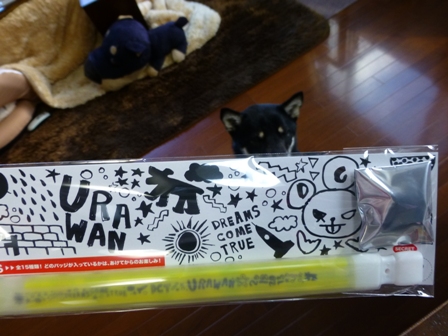 うらわん土産11
