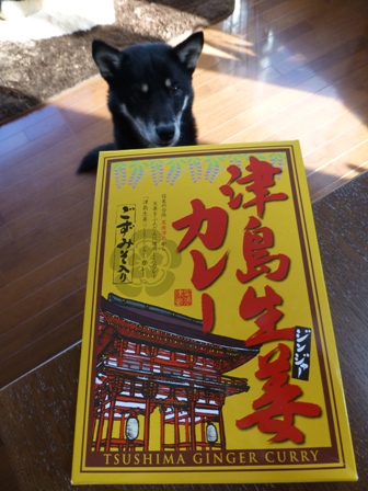 津島生姜カレー1