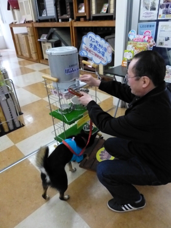 アミーゴクリスマス3