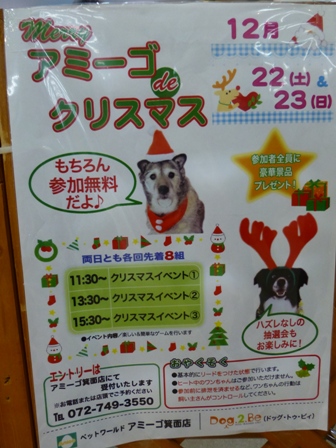 アミーゴクリスマス28