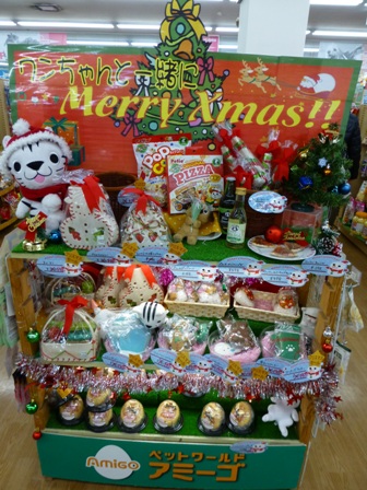 アミーゴクリスマス29