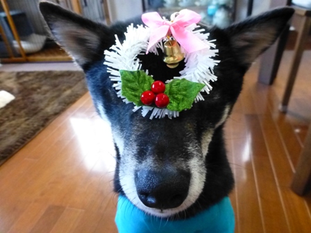 アミーゴクリスマス34