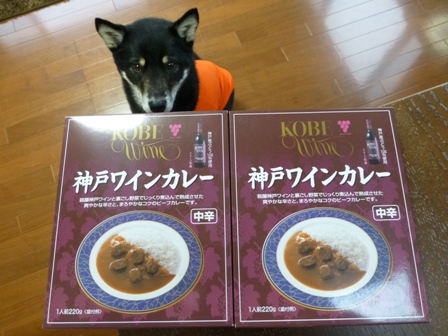 神戸イルミ16