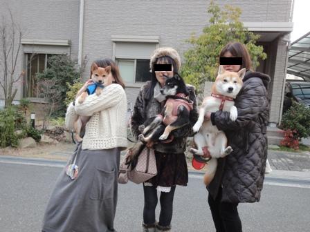 チロくん豆助くんまめすけ2