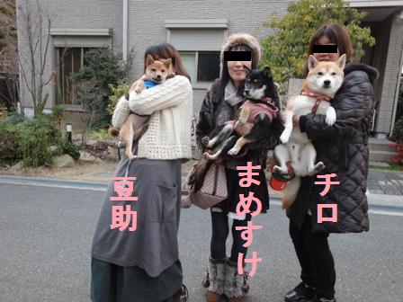 チロくん豆助くんまめすけ1
