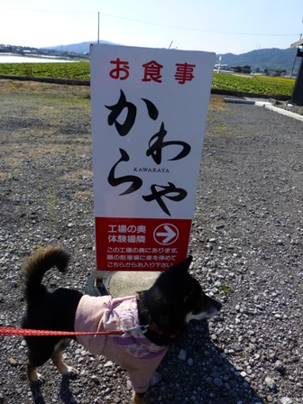 安冨白土瓦かわらや10