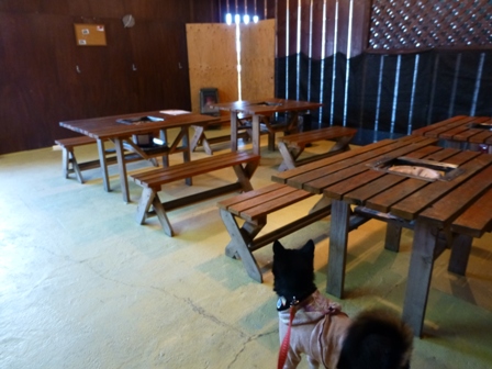 安冨白土瓦かわらや12