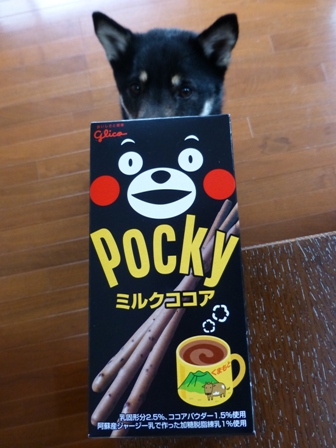 くまもんポッキー2